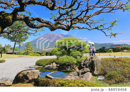 【鹿児島県】快晴下の仙巌園から見た桜島 88859408