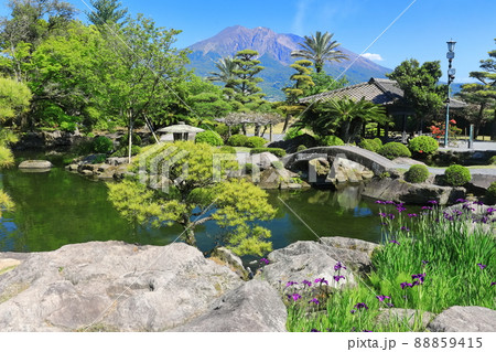 【鹿児島県】快晴下の仙巌園から見た桜島 【鹿児島県】快晴下の仙巌園から見た桜島 88859415