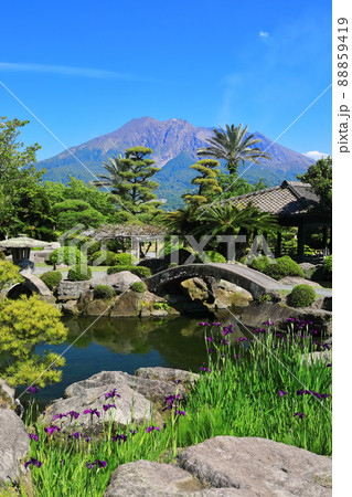 【鹿児島県】快晴下の仙巌園から見た桜島 88859419