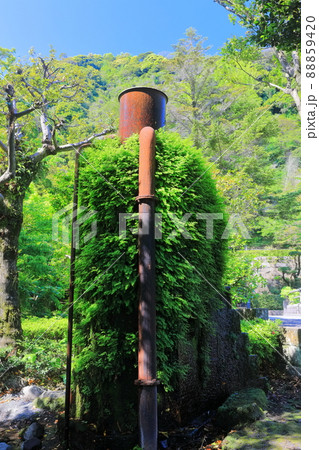 【鹿児島県】新緑の仙巌園 高枡 【鹿児島県】新緑の仙巌園 高枡 88859420