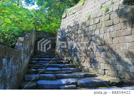 【鹿児島県】新緑の仙巌園　石段 88859422