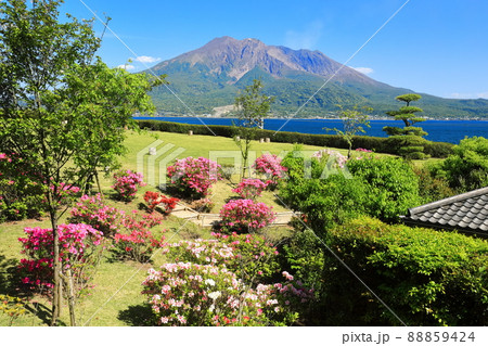 【鹿児島県】快晴下の仙巌園から見た桜島 88859424