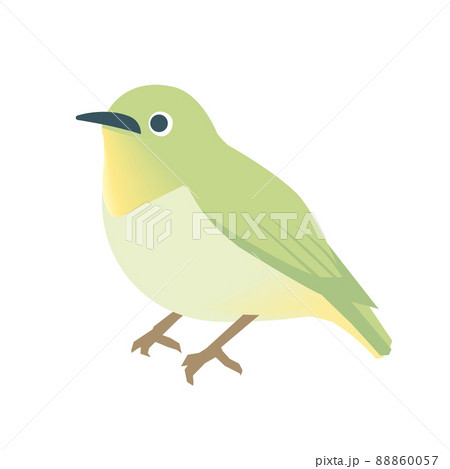 メジロ メジロ 88860057