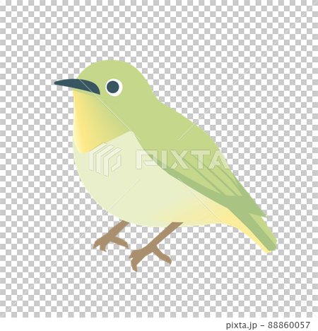メジロ メジロ 88860057