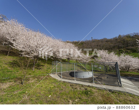 亀の瀬地すべり地域の春 88860632