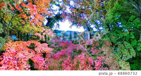 七色の紅葉 昌禅寺（長野市） 88860732