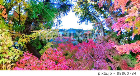 七色の紅葉 昌禅寺3(長野市) 七色の紅葉 昌禅寺3(長野市) 88860734