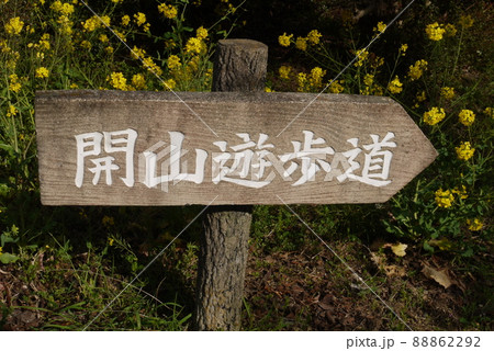 開山公園の案内板と菜の花 88862292