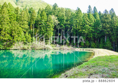 登山中に発見した溜池【三床山_石生谷林道コース】 登山中に発見した溜池【三床山_石生谷林道コース】 88862604