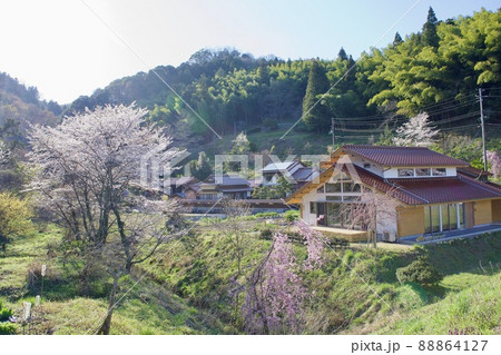 春　桜咲く長閑な農村風景 88864127
