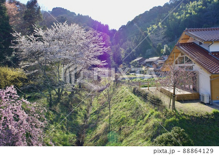 春　桜咲く長閑な農村風景 88864129