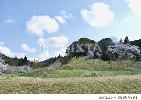 春 桜咲く長閑な農村風景 春 桜咲く長閑な農村風景 88864591