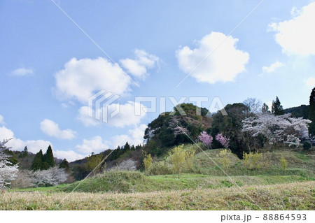 春 桜咲く長閑な農村風景 春 桜咲く長閑な農村風景 88864593