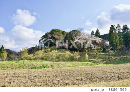 春　桜咲く長閑な農村風景 88864596