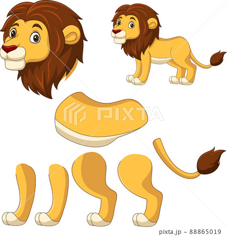 Cartoon lion for animation set Cartoon lion for animation set 88865019