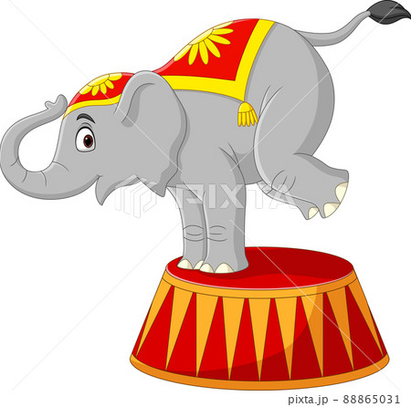 Cartoon Funny Circus Elephant On Podiumのイラスト素材