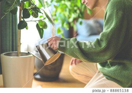 Image photo Image photo 88865138