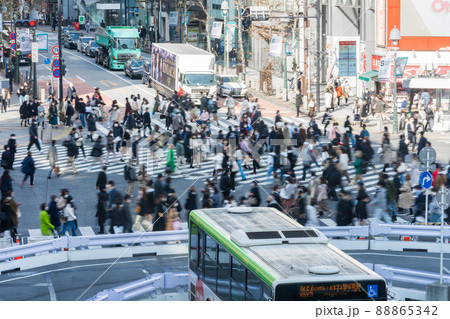 渋谷スクランブル交差点 88865342