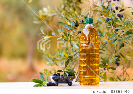 Bottle of oil and olives in salad bowl under tree branches Bottle of oil and olives in salad bowl under tree branches 88865440
