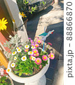 花壇 88866870
