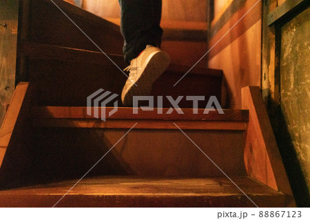 夕方の陽射しから差し込む木漏れ日 夕方の陽射しから差し込む木漏れ日 88867123