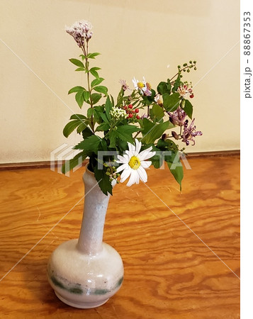 生け花の写真素材 生け花の写真素材 88867353