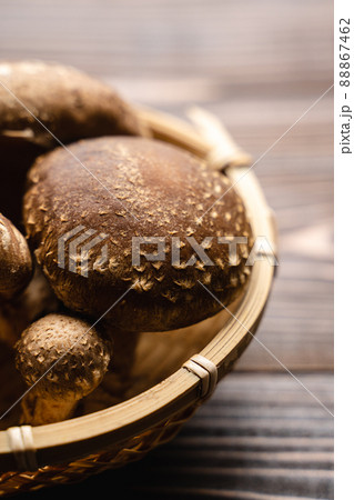 椎茸 椎茸 88867462