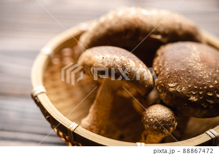 椎茸 椎茸 88867472