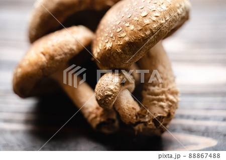 椎茸 88867488