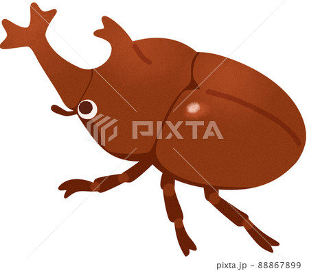 カブトムシのイラスト素材 8679