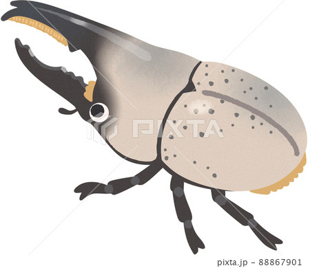 グラントシロカブト 88867901