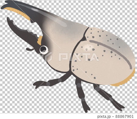 グラントシロカブト 88867901