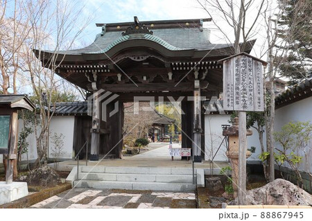 浄専寺の山門 88867945