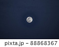 月 88868367