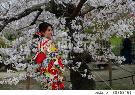 京都府・着物で花見 京都府・着物で花見 88868461
