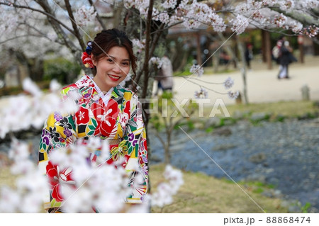 京都府・着物で花見 88868474