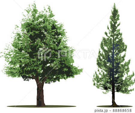 木 樹木セット 木 樹木セット 88868658