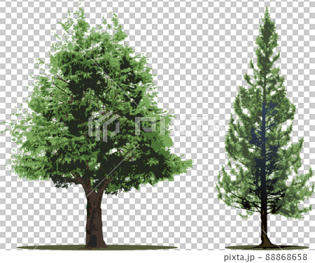 樹樹集 88868658