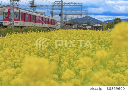 斎宮跡 三重県 斎宮跡 三重県 88869600
