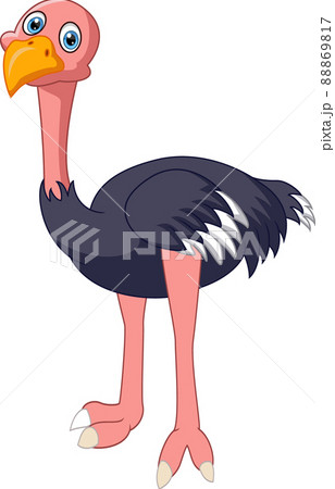 Cute ostrich cartoon isolated on white background 88869817