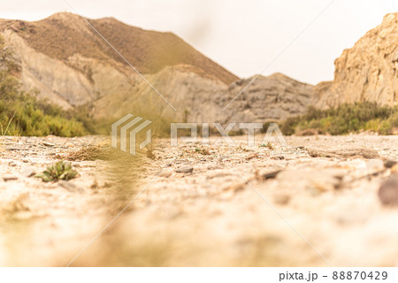 Plants growing on rough ground near mountains in desert Plants growing on rough ground near mountains in desert 88870429