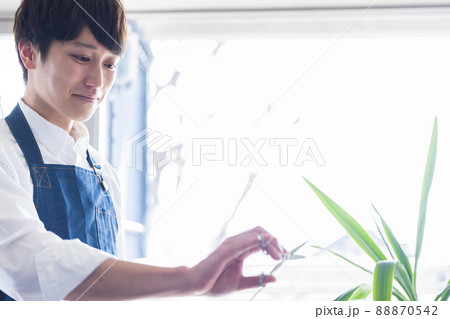 美容師 美容室 美容院 美容師 美容室 美容院 88870542