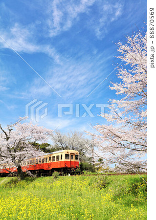 千葉県　春の桜と小湊鉄道 88870569