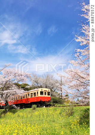 千葉県　春の桜と小湊鉄道 88870572