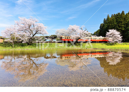 千葉県　春の桜と小湊鉄道 88870574