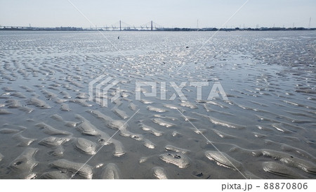 藤前干潟　干潟の風景 88870806