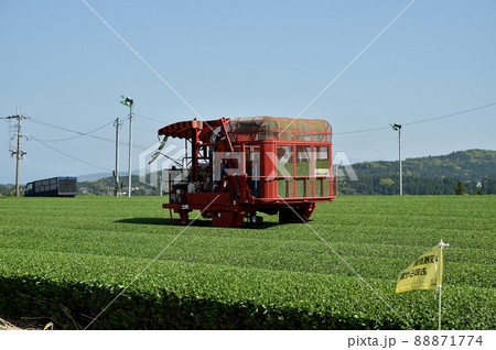 1番茶の収穫 88871774