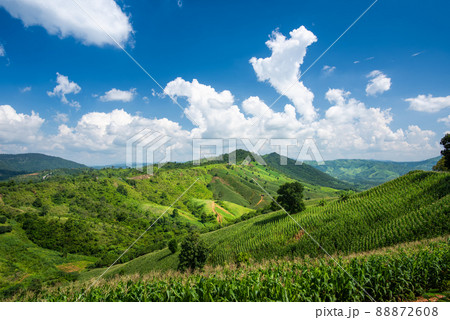 Aerial view landscape from the top of mountain Aerial view landscape from the top of mountain 88872608