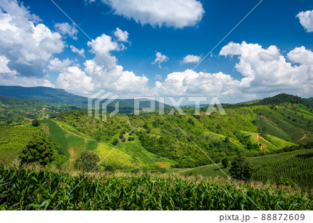 Aerial view landscape from the top of mountain Aerial view landscape from the top of mountain 88872609