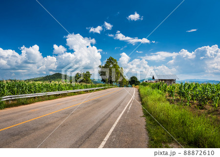 country road rolls over hills on a sunny day country road rolls over hills on a sunny day 88872610